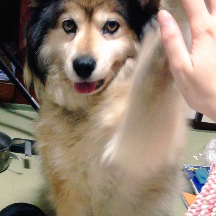 F84591d5 5ecd 4724 a65f 66757220cb7f 1562778724934