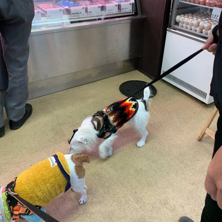 F845d523 2d43 4222 9c33 78d0cedc1f96 1607764201453