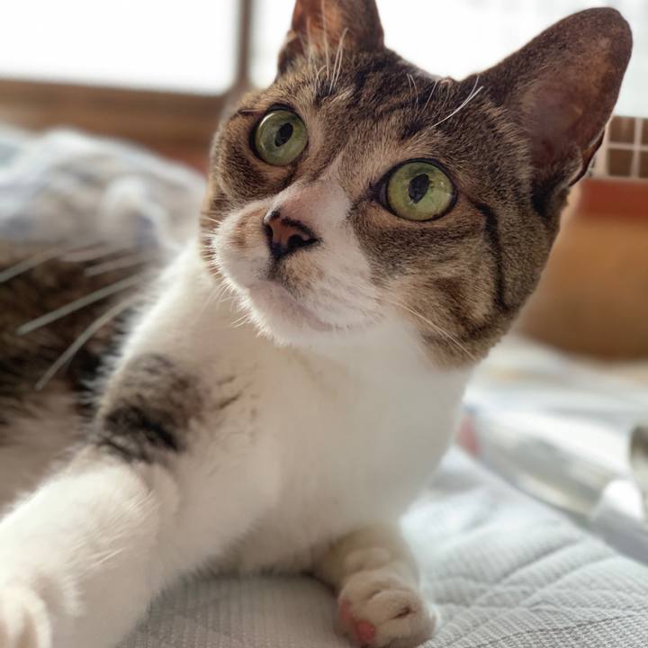 F846364b 60ab 4110 89b5 165f18cb1024 1592182550533