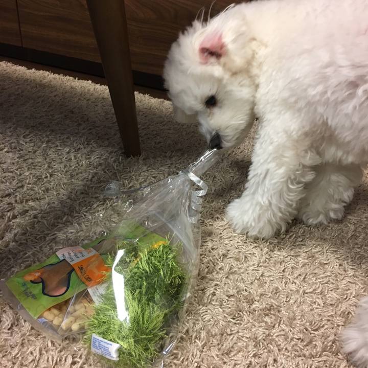 F84663b4 7615 4552 bc1e 7e5446492e4d 1545690341858