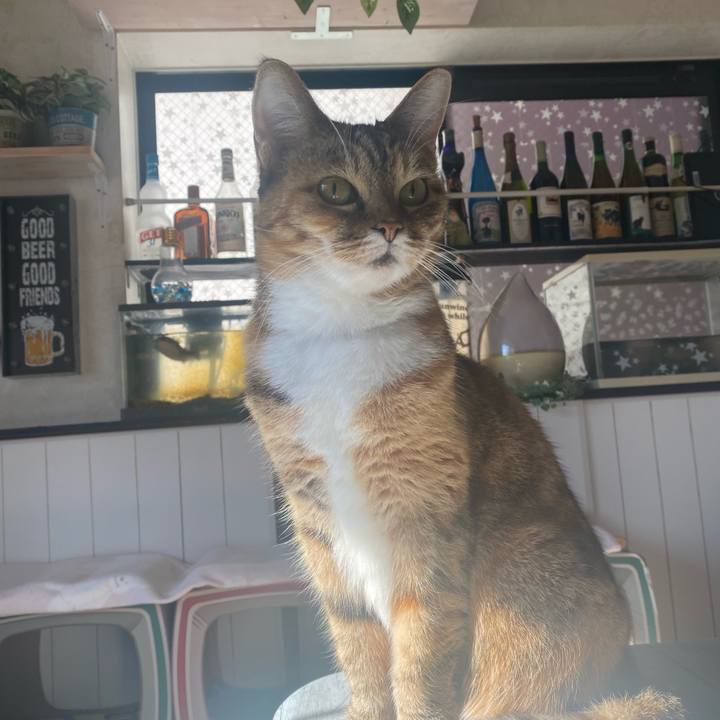 F846799d d1ed 4b34 b5c4 e7c4a4e2bdbb 1640570453850