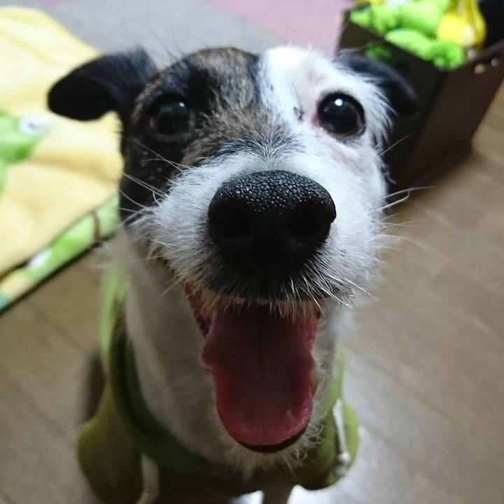 F8469b67 a604 48b7 8cda 3f7a9435e881 1523456043350