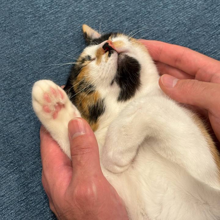 F846a7b7 09ff 4594 86b9 9b639e3c0bf8 1760864187144