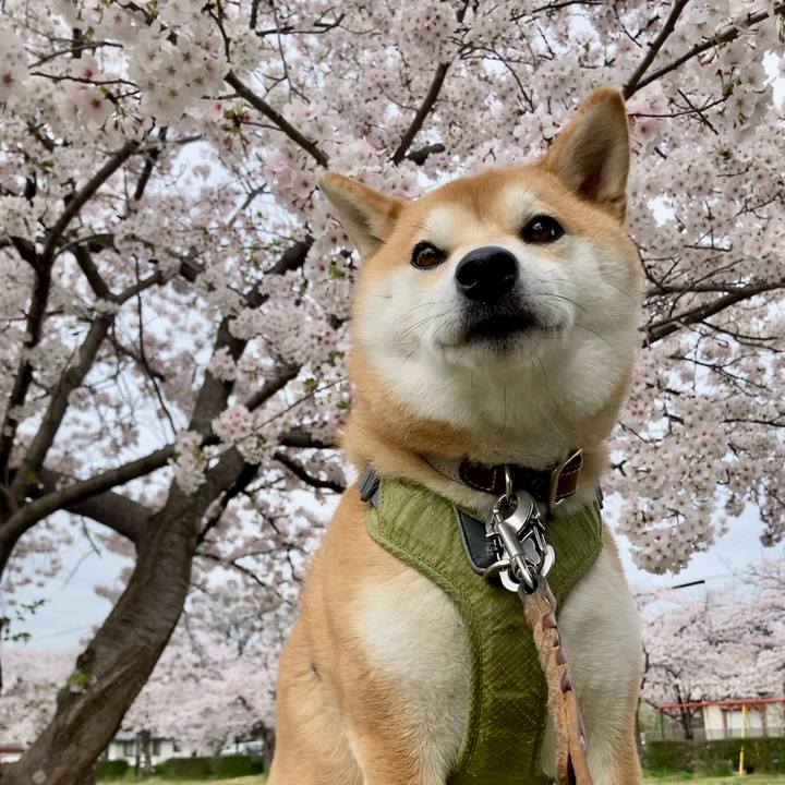 F846a9a9 da24 4b15 983f 724950104a16 1712534393955