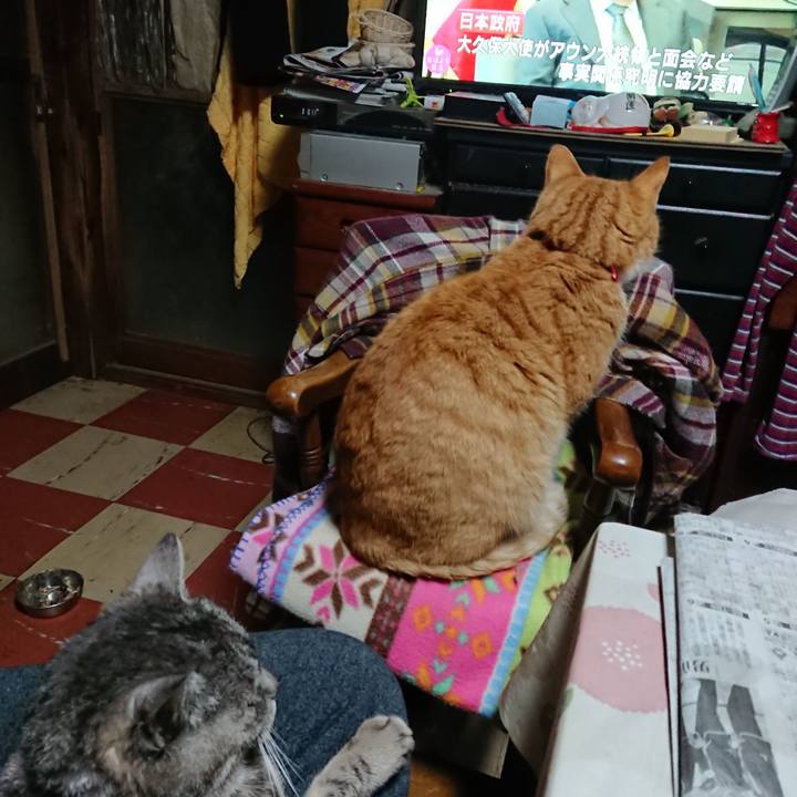 F846e55e 577f 493a a8cf 78c1e15eb494 1578604043432