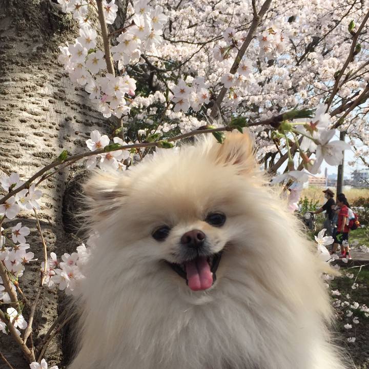 F846e955 e8f1 4908 9cd5 4558bf3b4b69 1522300807810