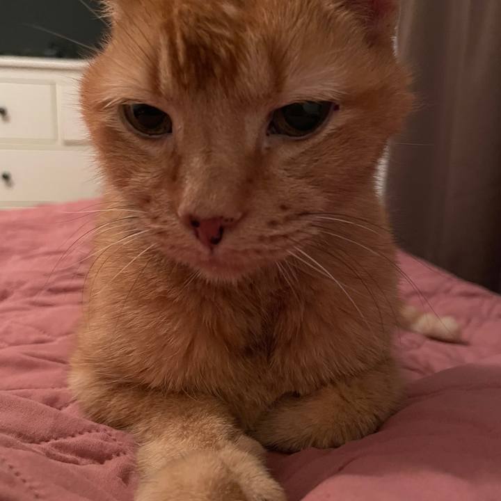 F8470de8 0fb1 4a58 b20b f9c69131e465 1769134786079