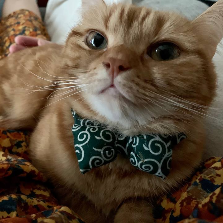 F8471e49 99ce 45b2 86b7 faacce3ac23e 1574637905939