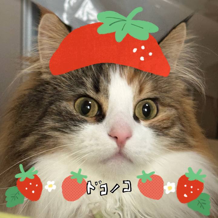 F8473626 7b4f 4cbb 8fc7 686371a8f57c 1775454713385