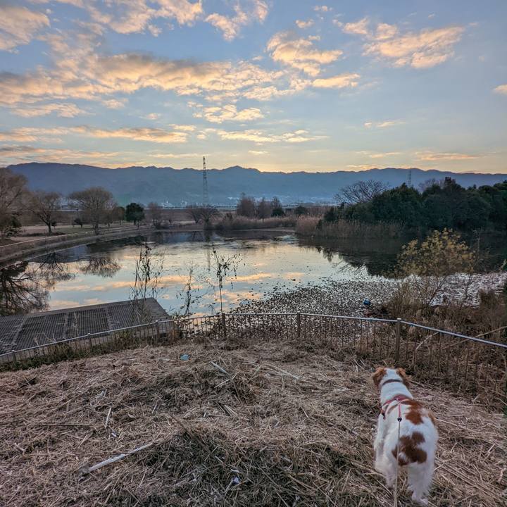 F84743e5 17f7 479d ac6a f33f19d93ee3 1641599568318