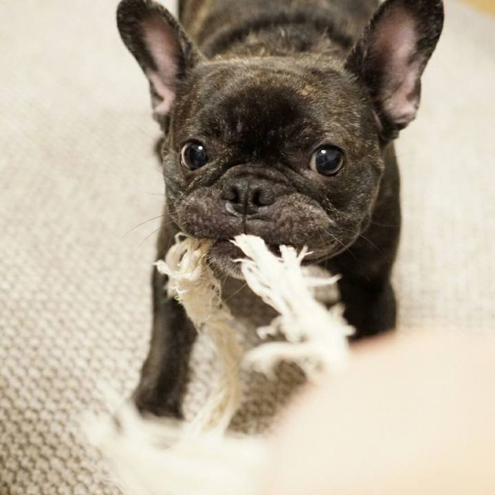 F8474595 170f 4493 aa51 ceca70566a99 1537871030877