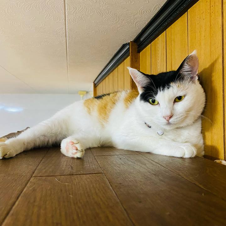 F8474d4c f792 4a85 aebf a028c622f49f 1663539546745