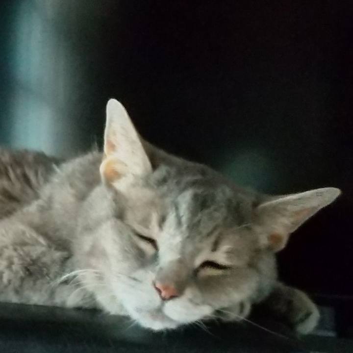 F8476445 2883 4d1e bf73 55e1ea761310 1692604651779