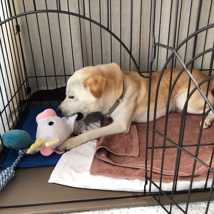 F8477c88 631e 4eeb 862c 3e8dce1a88c8 1628642762672