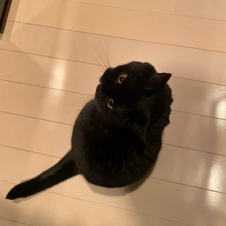 F8478dd8 140d 4bc8 93f3 147f4e4d44e1 1764163208134