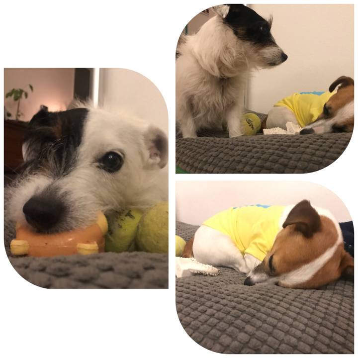 F84790e0 9697 4384 9844 f2f04a42984f 1523537912023