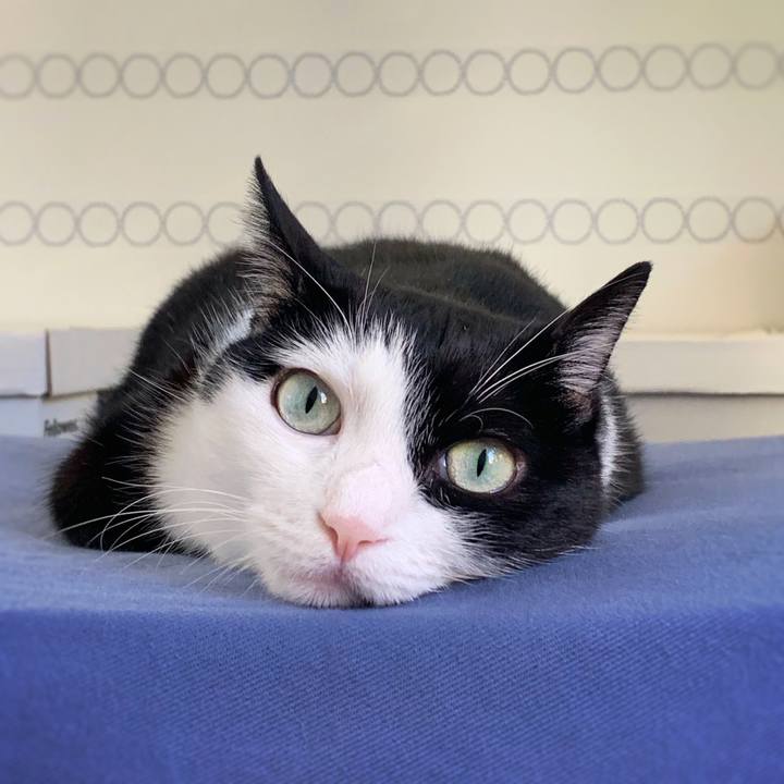 F84798fd c707 4999 845f e72808ad32a7 1570923843081