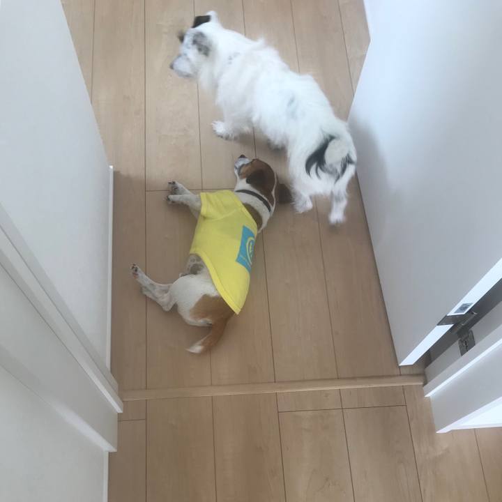 F847a0a0 086e 426b 8f32 8c6bbc15bbc9 1531106164543