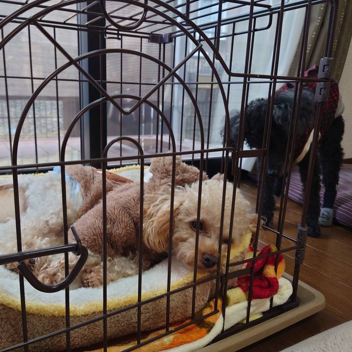 F847ddac 4a6b 45f9 9b8c f23e4a54ff28 1766732289336