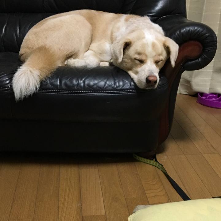 F847f19f 0cf0 4542 b9a7 d1427b25559c 1533299914441