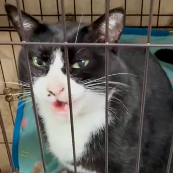 F8485289 c0e5 4fa7 bcf7 1a7eec63376d 1755570114063