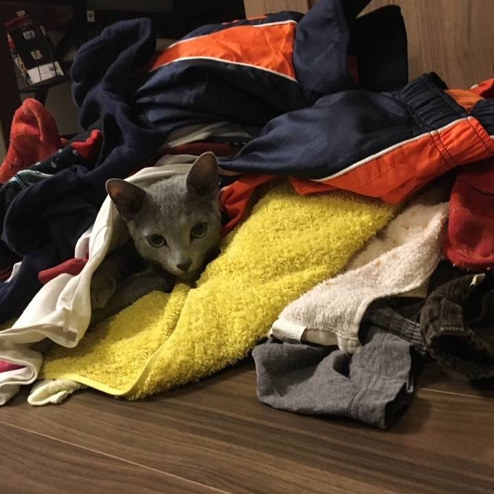 F84863a9 82e4 4ed9 93d5 35b796ed437e 1736125619063