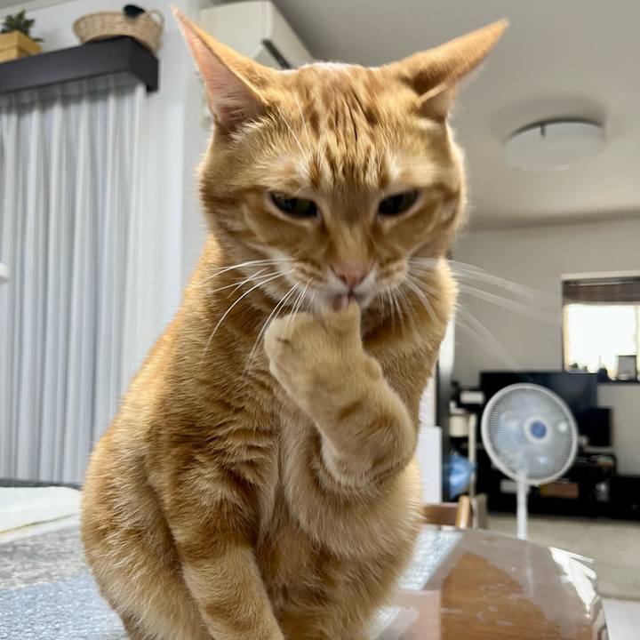 F8488d52 6916 4164 8c1d 926632e9b484 1687782583639