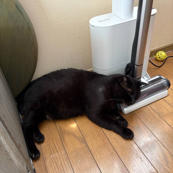 F8489438 9b3b 42ae ad79 e6470b09b02e 1754541787198