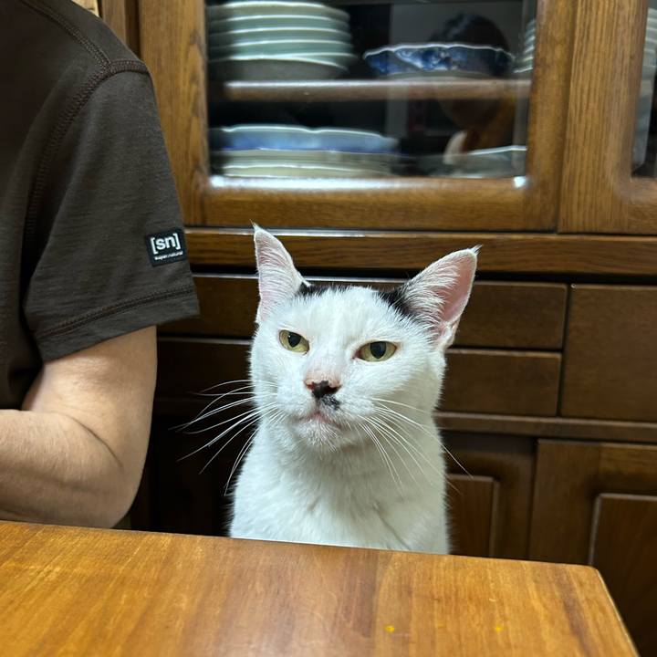 F8489796 71e0 4082 93fa 66a0353b61b0 1757945757555