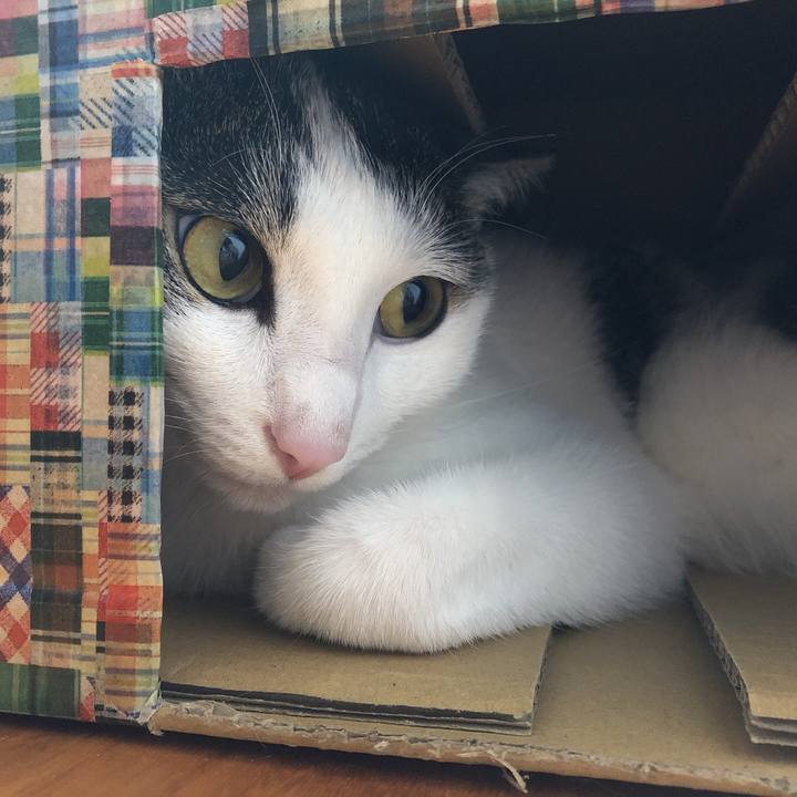 F848a79f bbe8 4a40 b250 e356f67d1829 1623245332407