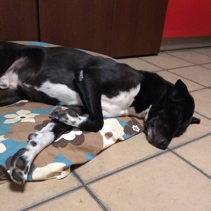 F848a887 0271 4299 b53f 69606a650372 1602375088363