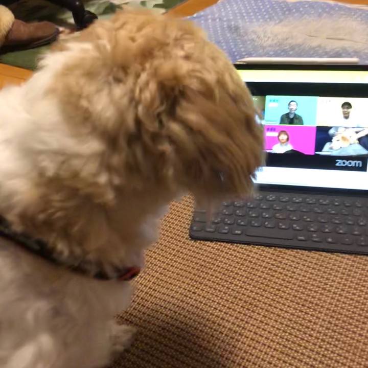 F848bad6 0d23 4a58 be71 63007d37ae67 1591360449240