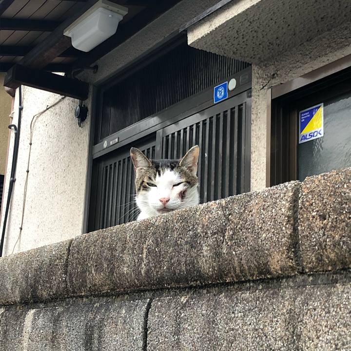 F848cf49 ecff 4826 8bbc cbafaf0fff1f 1556988043539