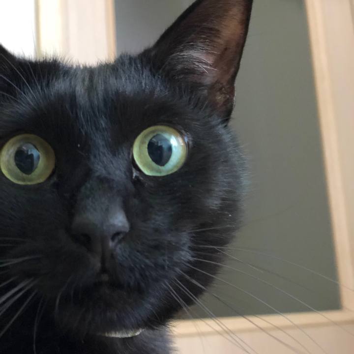 F8491fee 2167 4630 ab60 27f2cf13e926 1515812353163