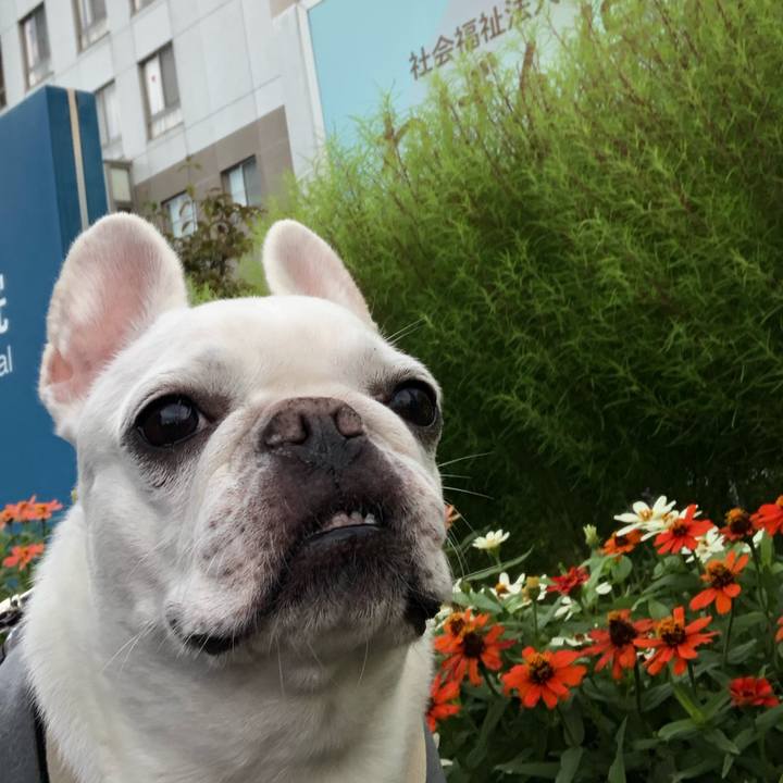 F8492c78 83c0 40c5 8b88 62bbb3efdee8 1665448375467