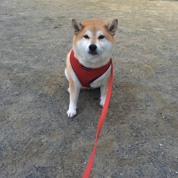 F8497b54 930d 4c23 a816 c8dfd7137d8e 1600765413116