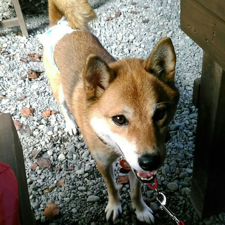 F8499461 fe2c 4b09 99de 19abb48d034e 1539011547322