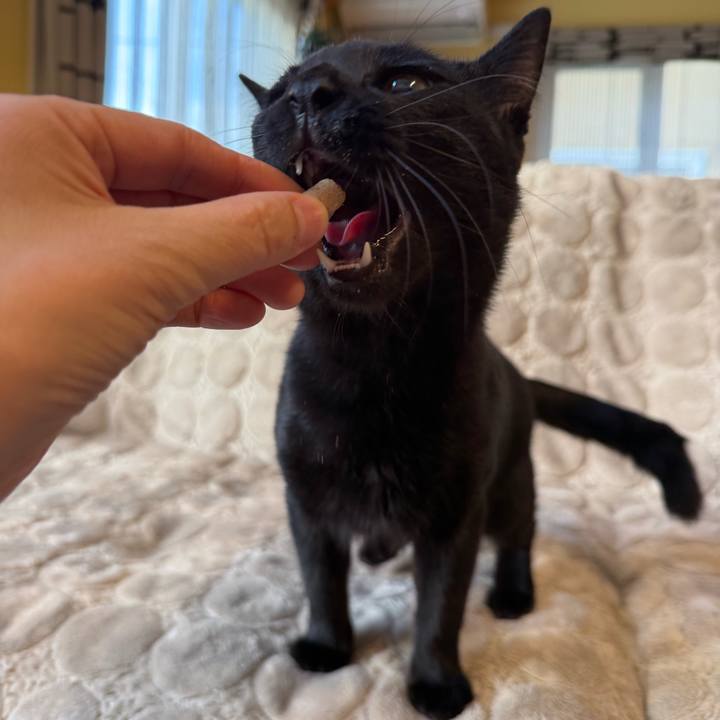 F8499db1 96f1 4cee a426 33827cc7e4b0 1764196296847