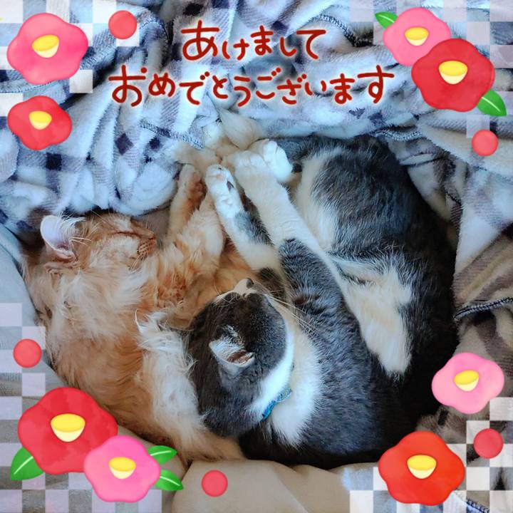 F849c2d1 1270 490a b0bd 89e128a1cc18 1704034905858