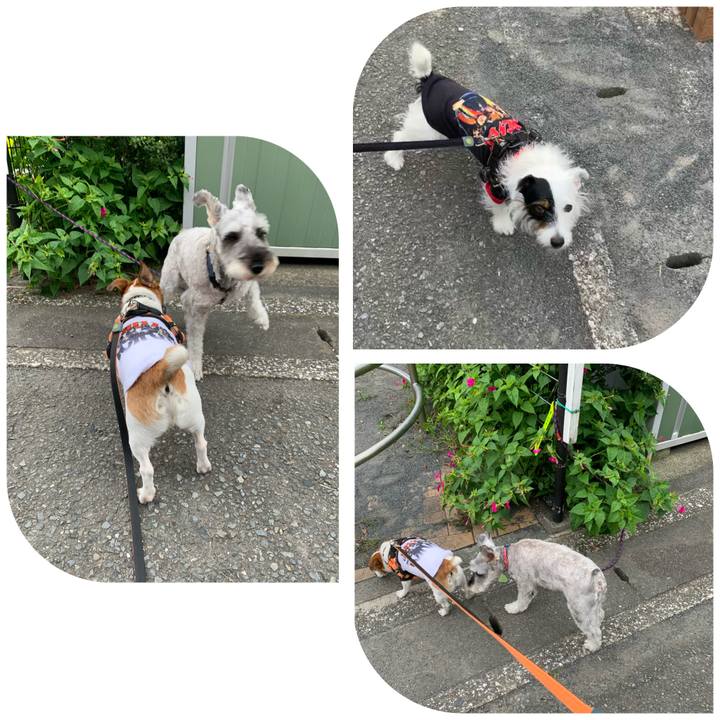 F849f247 5259 438b a0d2 511c37d031cd 1601367478080