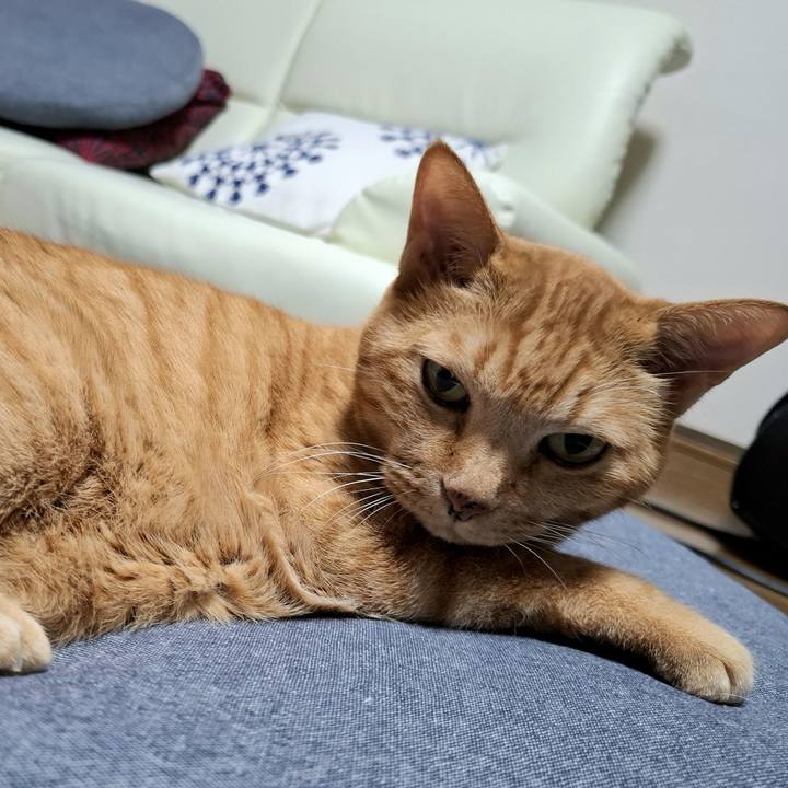 F849f566 95ee 4cc0 916d e5e4f50d54e5 1735995326606