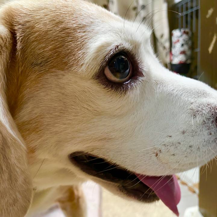 F849fe8f b666 4088 ad94 4bbd3ad7d044 1599795620845