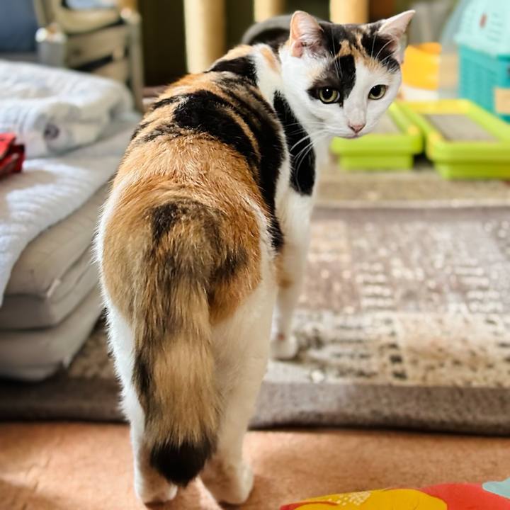 F84a2f20 d397 4364 bd0d 1a7a70b732d5 1665367525428