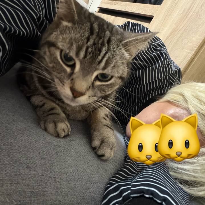 F84a64b3 d0cf 43eb bbc0 ba6974ea4d46 1773917893967