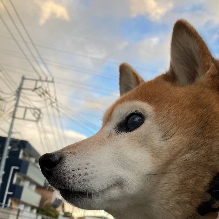 F84a8300 4f9a 434e a7dc fcf2de02f28a 1738752919827