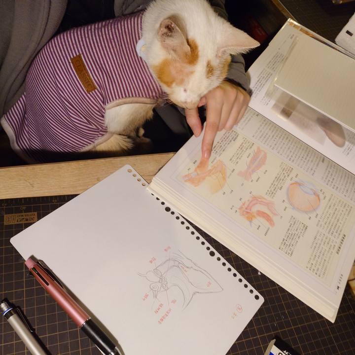 F84a9f27 6d35 4ad3 bbfa 3b11c715f24c 1774185557663