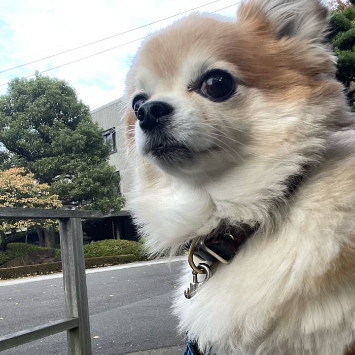 F84ad472 5ebe 4faf 8ca0 e60b66dbe4e2 1762578847883