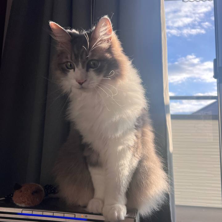 F84added 3ae3 464a 9c88 494e7f551e2b 1759651973510