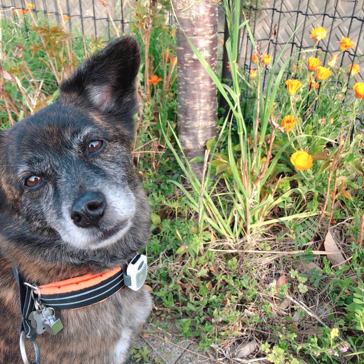 F84af0aa 416c 4bf0 a003 fd7d66cf1bee 1617153071787