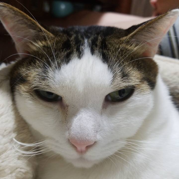 F84b135c 587c 45e2 b47d 02a759c82d7f 1574426753442